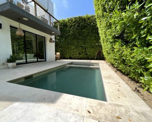 Plunge Pool Los Angeles